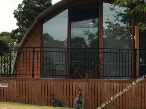 Bruny Island Accommodation 43 Degrees Beachside Studio Spa Apartments (1) - 2032 Olympic Games 1