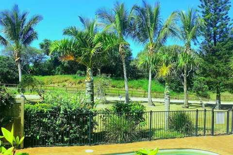 Sailfish On Fraser - 2032 Olympic Games 3