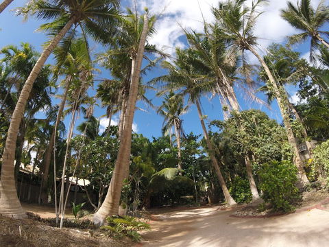 Cable Beach Backpackers - Hostel - 2032 Olympic Games 2
