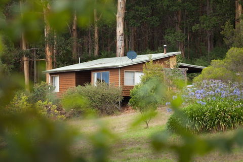 Bombina Cottages - 2032 Olympic Games 2