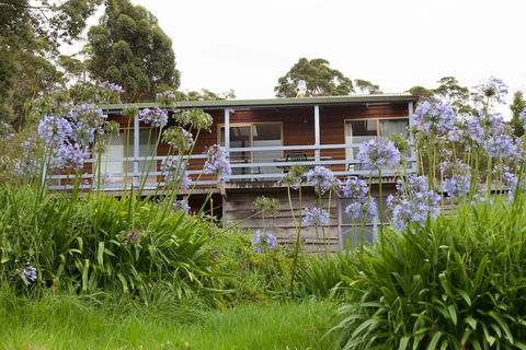 Bombina Cottages - 2032 Olympic Games 0