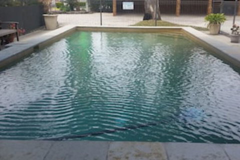 Chaparral Motel - 2032 Olympic Games 0