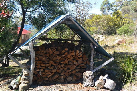The Tree House - 2032 Olympic Games 4