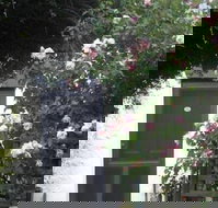 Ivy on Glenelg - 2032 Olympic Games