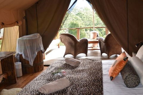 Silk Pavilions Glamping - 2032 Olympic Games 4
