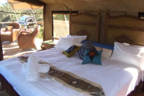 Silk Pavilions Glamping - 2032 Olympic Games 7