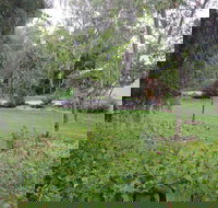 Amy's House - 2032 Olympic Games