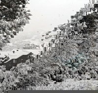 Alpenhorn - 2032 Olympic Games