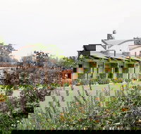 A Must At Coonawarra - 2032 Olympic Games