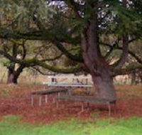 Auburn Shiraz Motel - 2032 Olympic Games