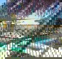 Must Love Dogs Bb - 2032 Olympic Games