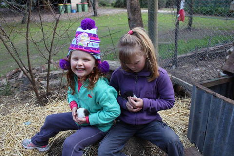 Fernleigh Farmstay & Bike Park - 2032 Olympic Games 3