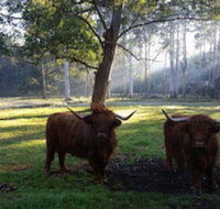 Dingley Dell - 2032 Olympic Games