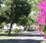 BIG 4 Hay - 2032 Olympic Games