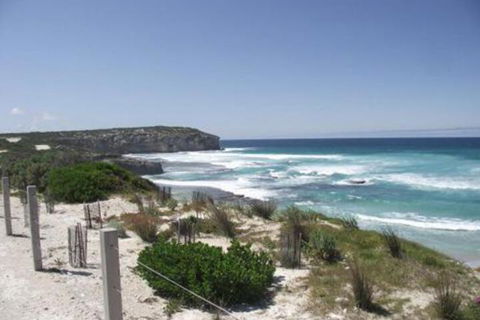 Cooinda Holiday Village - 2032 Olympic Games 4
