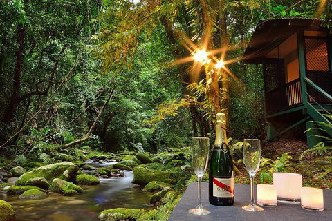 Misty Mountains Rainforest Retreat - 2032 Olympic Games 3