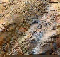 Ballina Palms Boutique Motel - 2032 Olympic Games