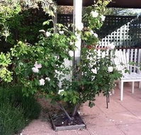 Ellesmere House - 2032 Olympic Games