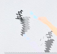 The Sails Motel Brunswick Heads - 2032 Olympic Games