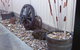RJs Bed & Breakfast - thumb 5