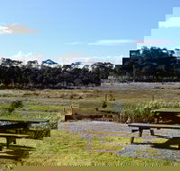 Pelican Point Sanctuary - 2032 Olympic Games
