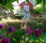 A Country Barn Retreat - 2032 Olympic Games