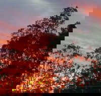 The York Heritage Hotel  Terraces - 2032 Olympic Games