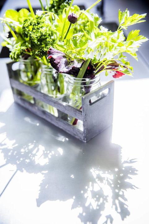 Alkina Lodge - 2032 Olympic Games 6