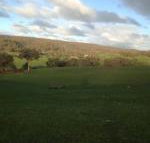 Mancuso Country Cottage Retreat - 2032 Olympic Games