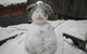 CHILL OUT At THREDBO - thumb 2