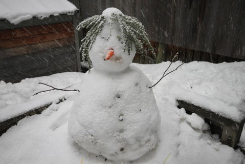 CHILL OUT At THREDBO - 2032 Olympic Games 2