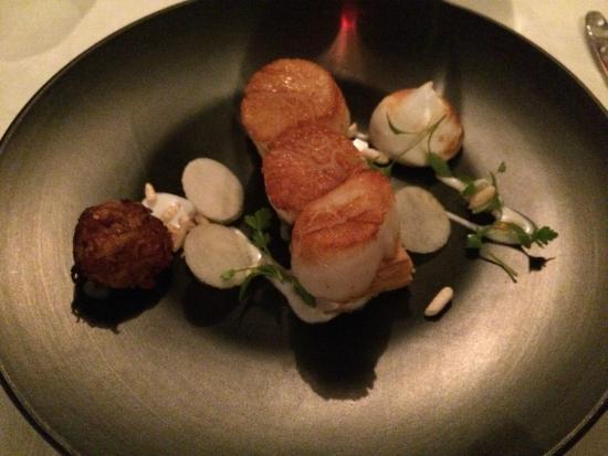 Clubs Yungaburra QLD 2032 Olympic Games