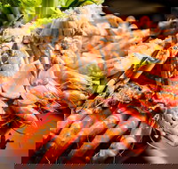 Table 30 - 2032 Olympic Games