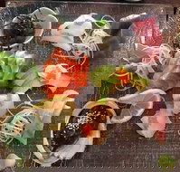 Toshi's Japanese Restaurant - 2032 Olympic Games