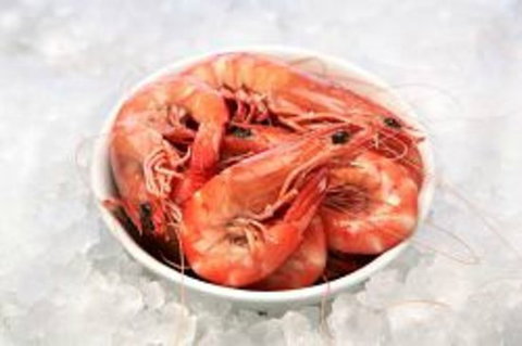 Blue Wave Seafood - 2032 Olympic Games 0