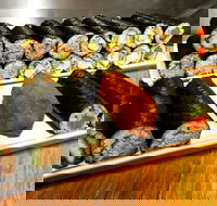 Freewave Sushi  Burgers - 2032 Olympic Games