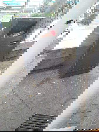 The Entrance NSW 2032 Olympic Games