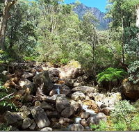 Star Chinese Restaurant - 2032 Olympic Games