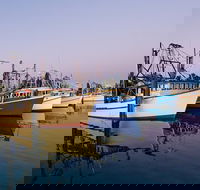 Clarence River Fishermen's Co-Operative - 2032 Olympic Games
