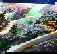 Steam  Cedar - 2032 Olympic Games