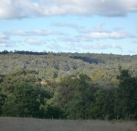 U Saucey Thing - 2032 Olympic Games