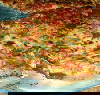 Al Pesto - 2032 Olympic Games