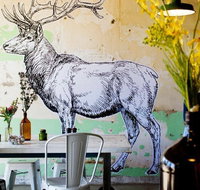 Elk Espresso