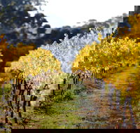 Prickly Moses Brewery - 2032 Olympic Games