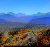 Arcadia Wines - 2032 Olympic Games