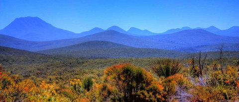 Arcadia Wines - 2032 Olympic Games 0