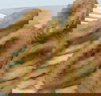 Holmview Central Bakery - 2032 Olympic Games