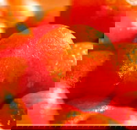 Punjab Indian Sweets and Restaurant - Mount Druitt - 2032 Olympic Games