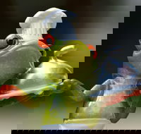 The Lillipad Cafe - 2032 Olympic Games