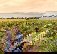 Boston Bay Wines - 2032 Olympic Games